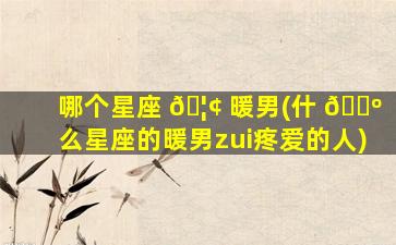 哪个星座 🦢 暖男(什 🌺 么星座的暖男zui
疼爱的人)